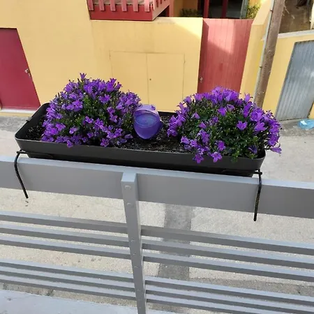 The Violet House Villa Costa Nova Buitenkant foto