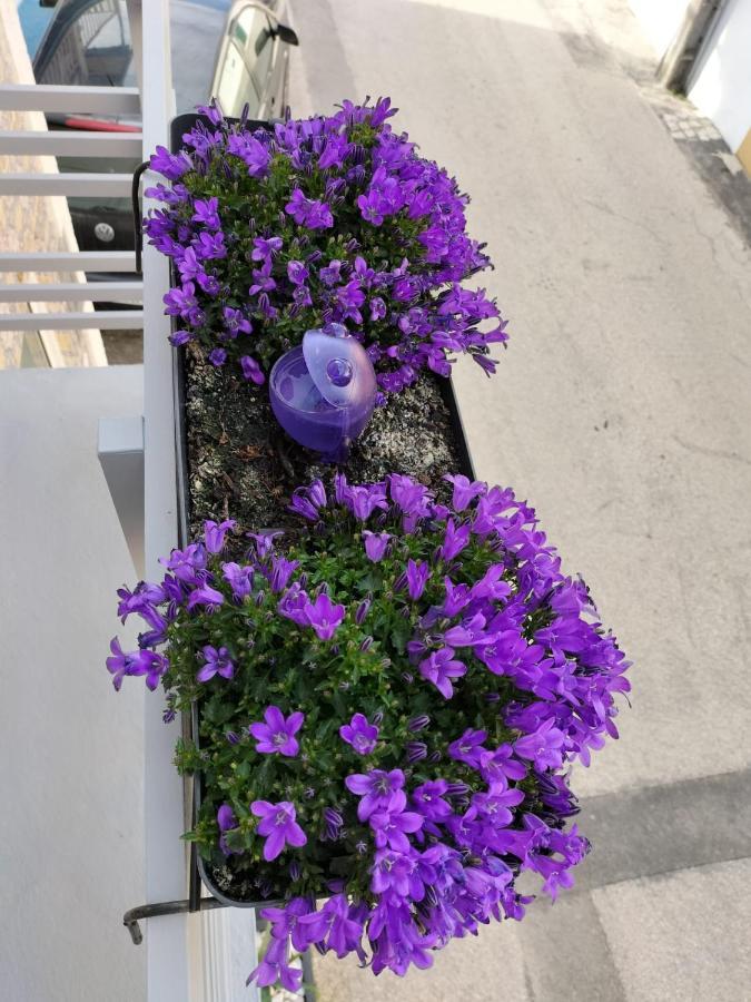 Holiday home The Violet House Costa Nova